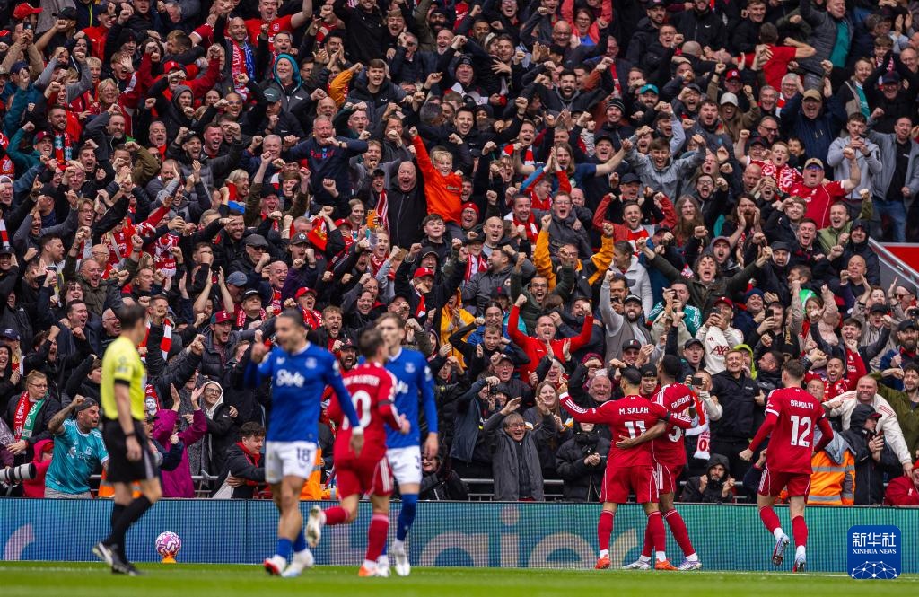 与案例叙述 与案例叙述